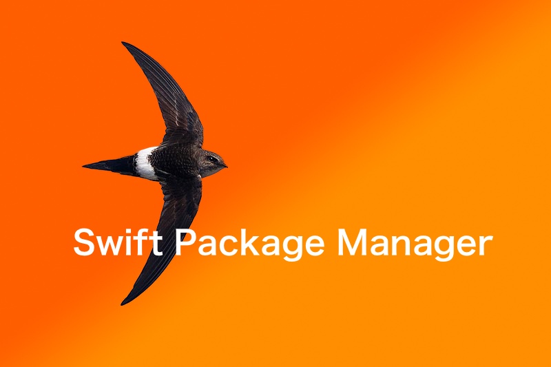 Swift Package Manager